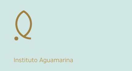opiniones Instituto Aguamarina